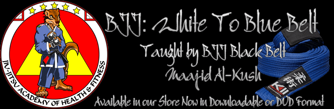 BJJ White to Blue
